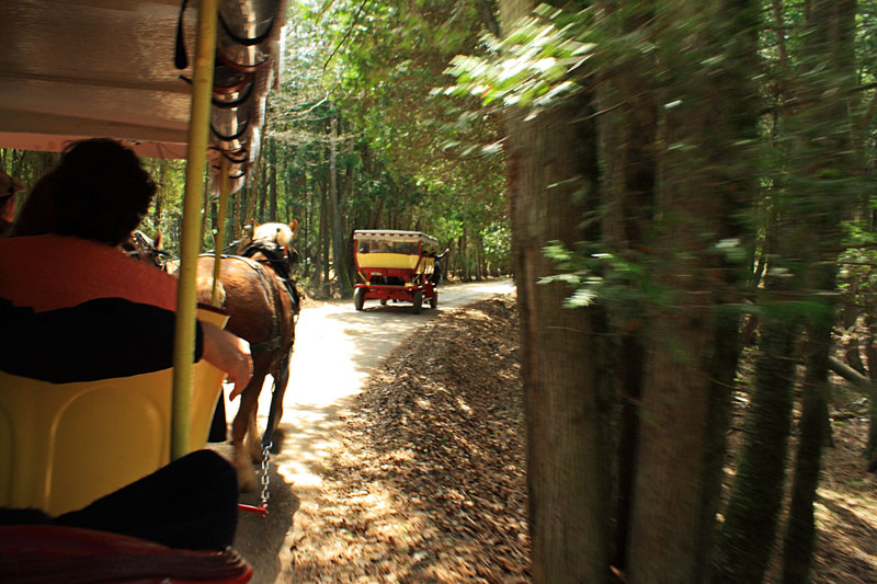 carriage tour mackinac island